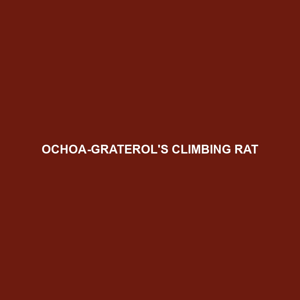 Ochoa-Graterol's Climbing Rat