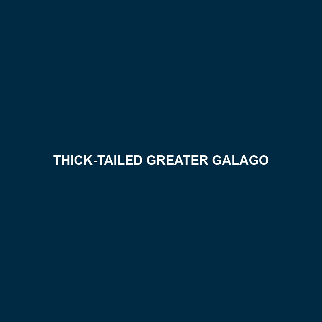 Thick-tailed Greater Galago