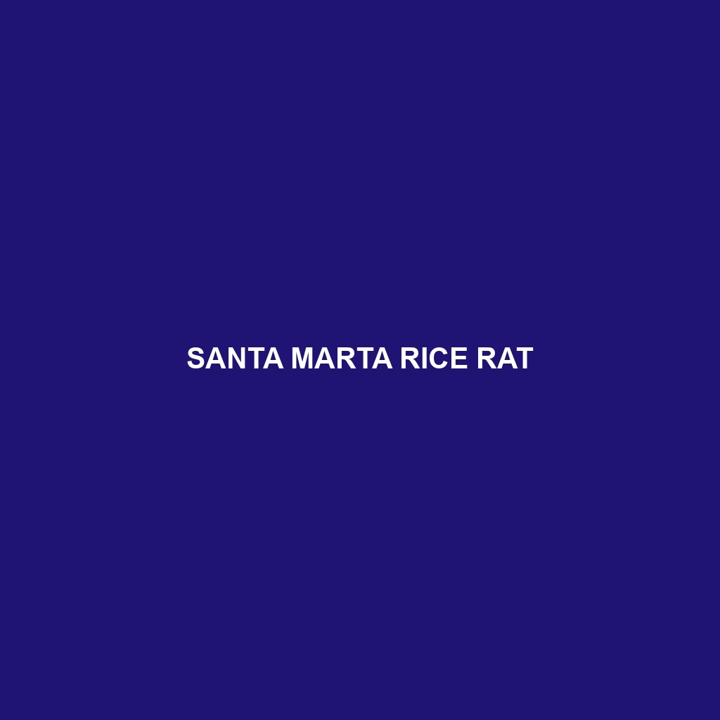 Santa Marta Rice Rat