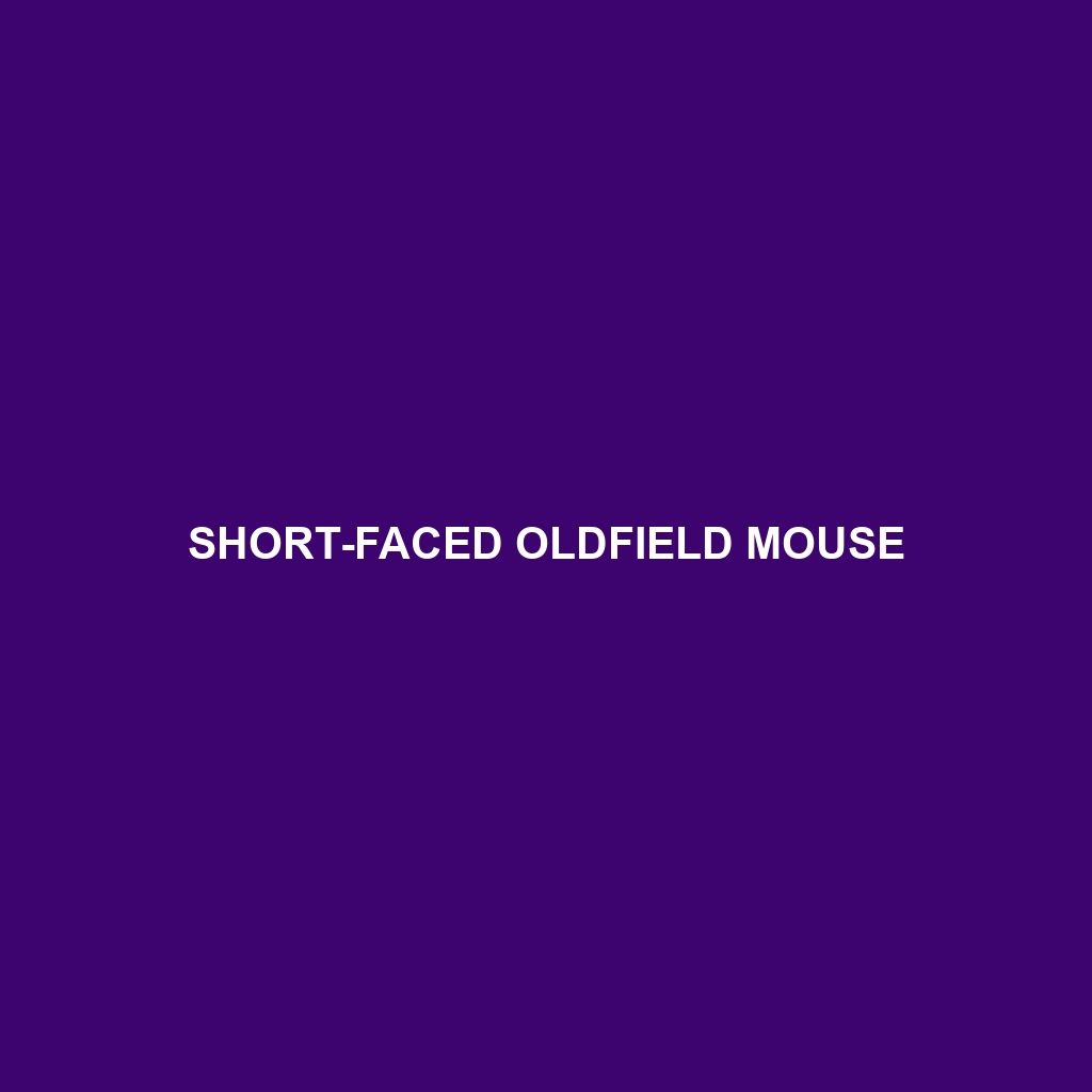 Short-faced Oldfield Mouse