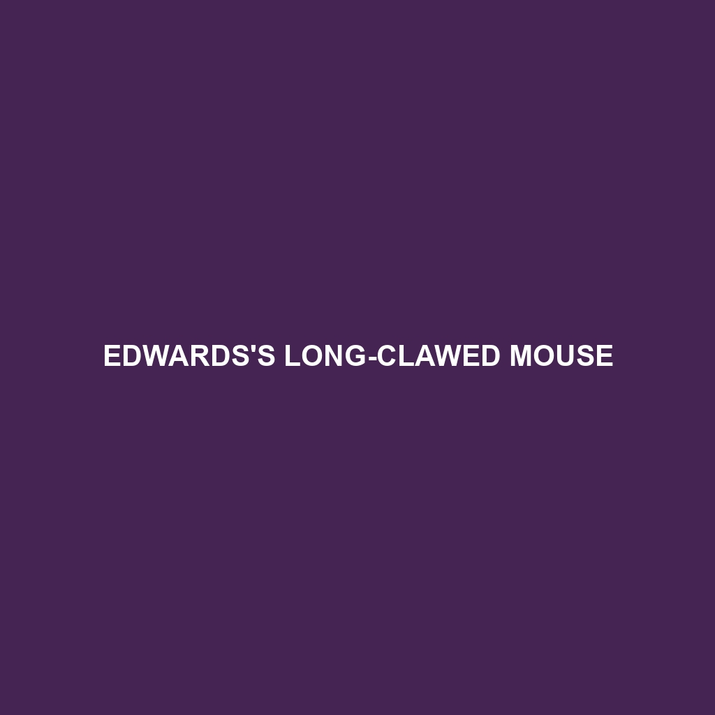 Edwards's Long-clawed Mouse