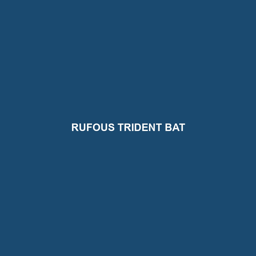 Rufous Trident Bat