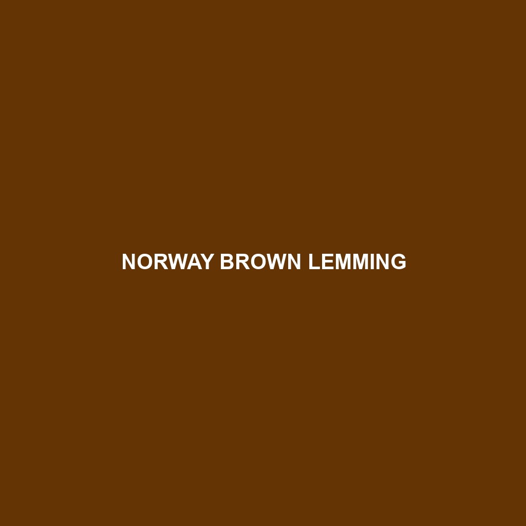 Norway Brown Lemming