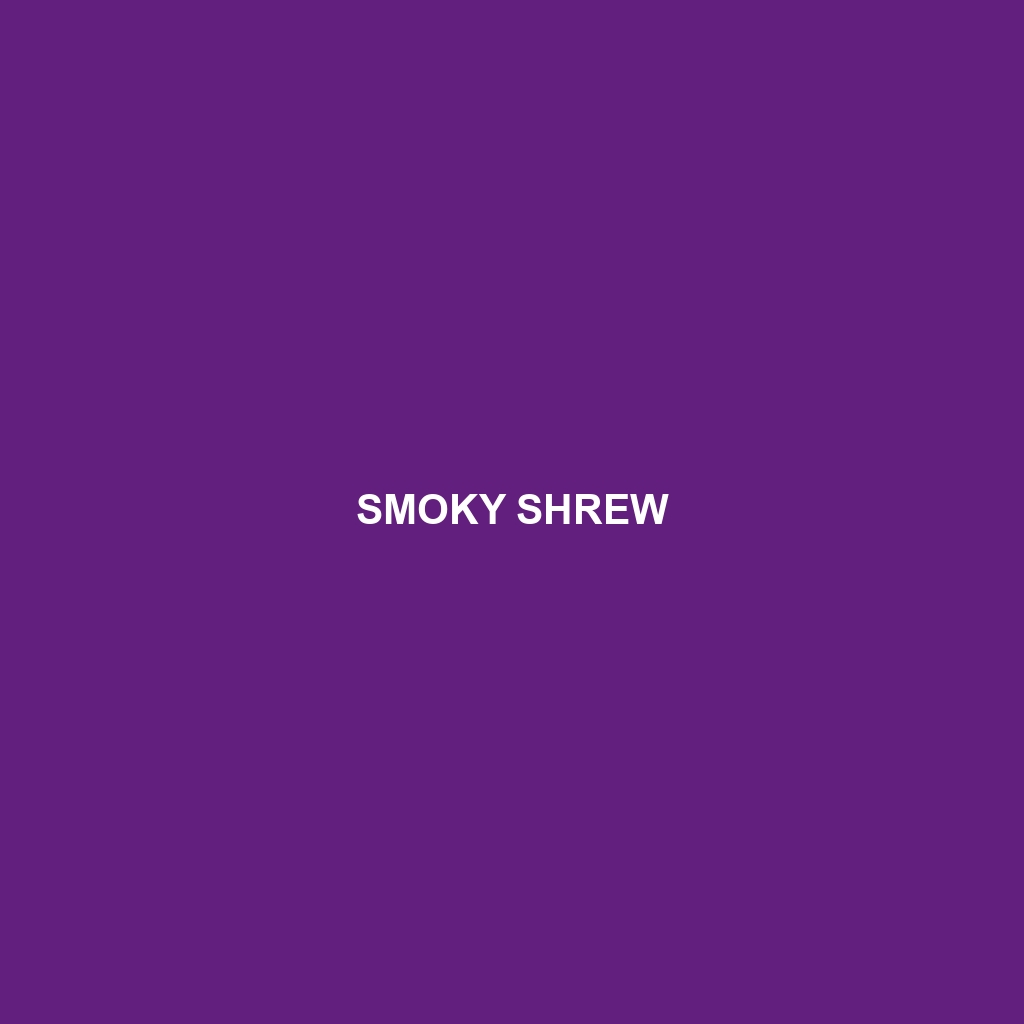 Smoky Shrew