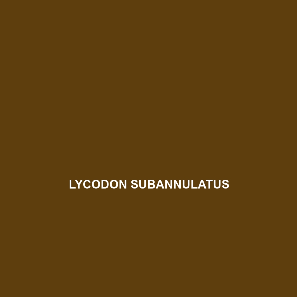 Lycodon subannulatus