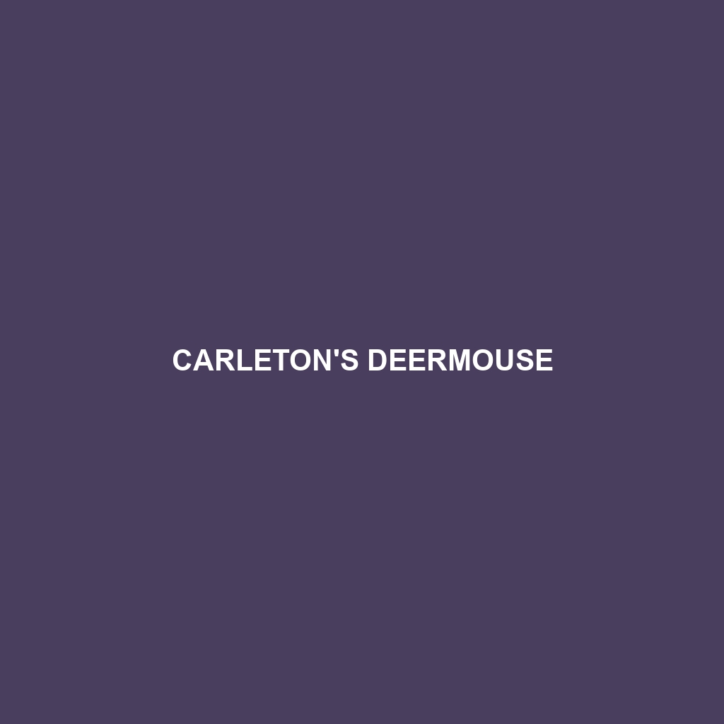 Carleton's Deermouse