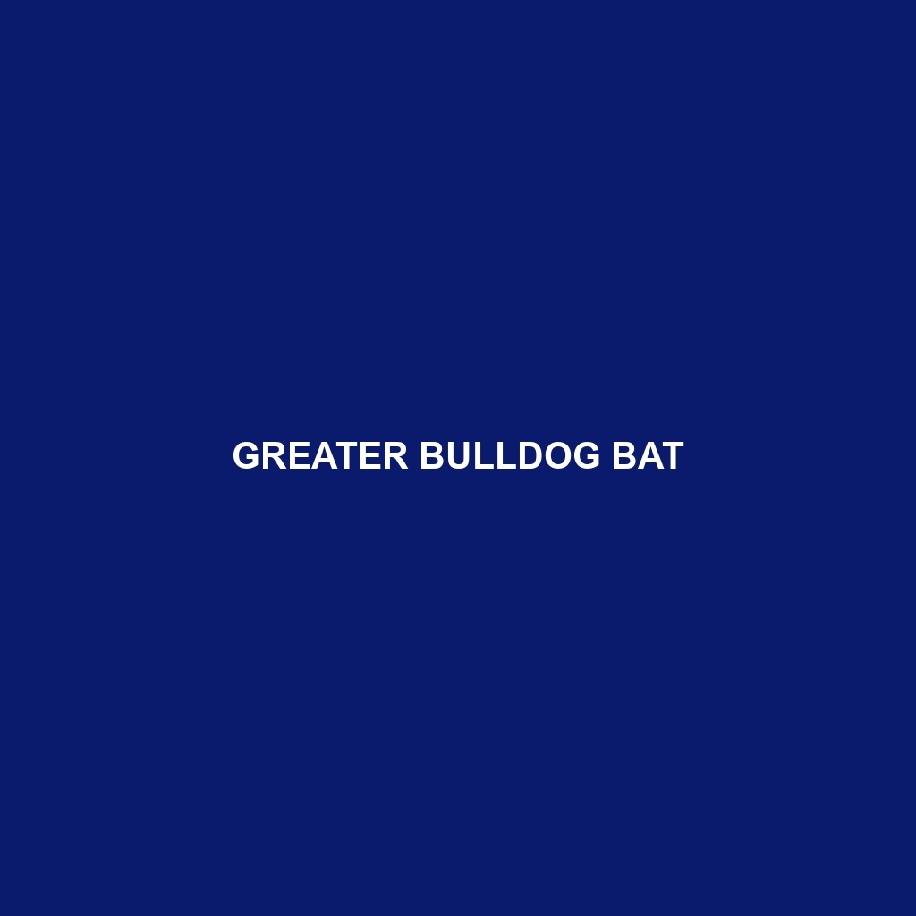 Greater Bulldog Bat