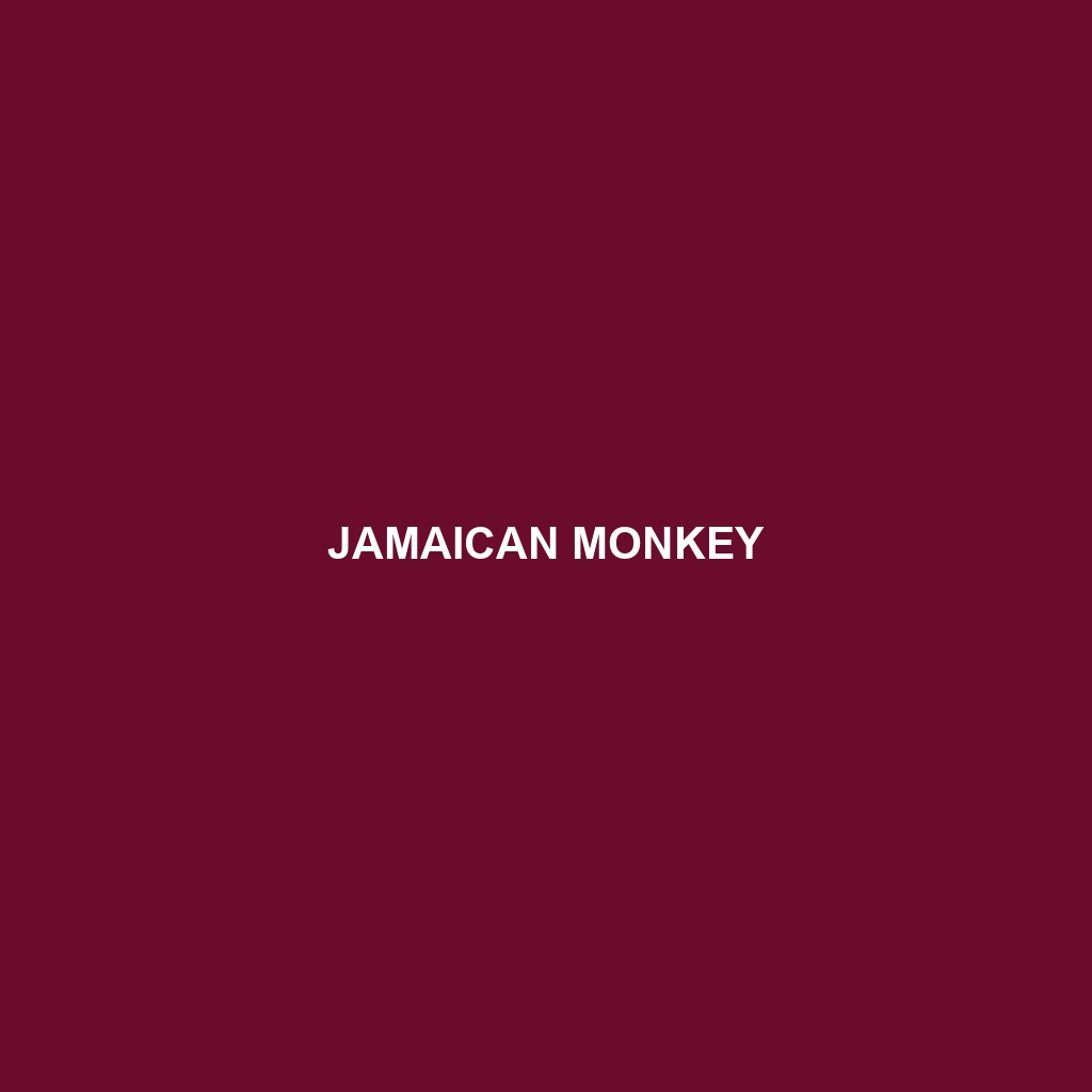 Jamaican Monkey