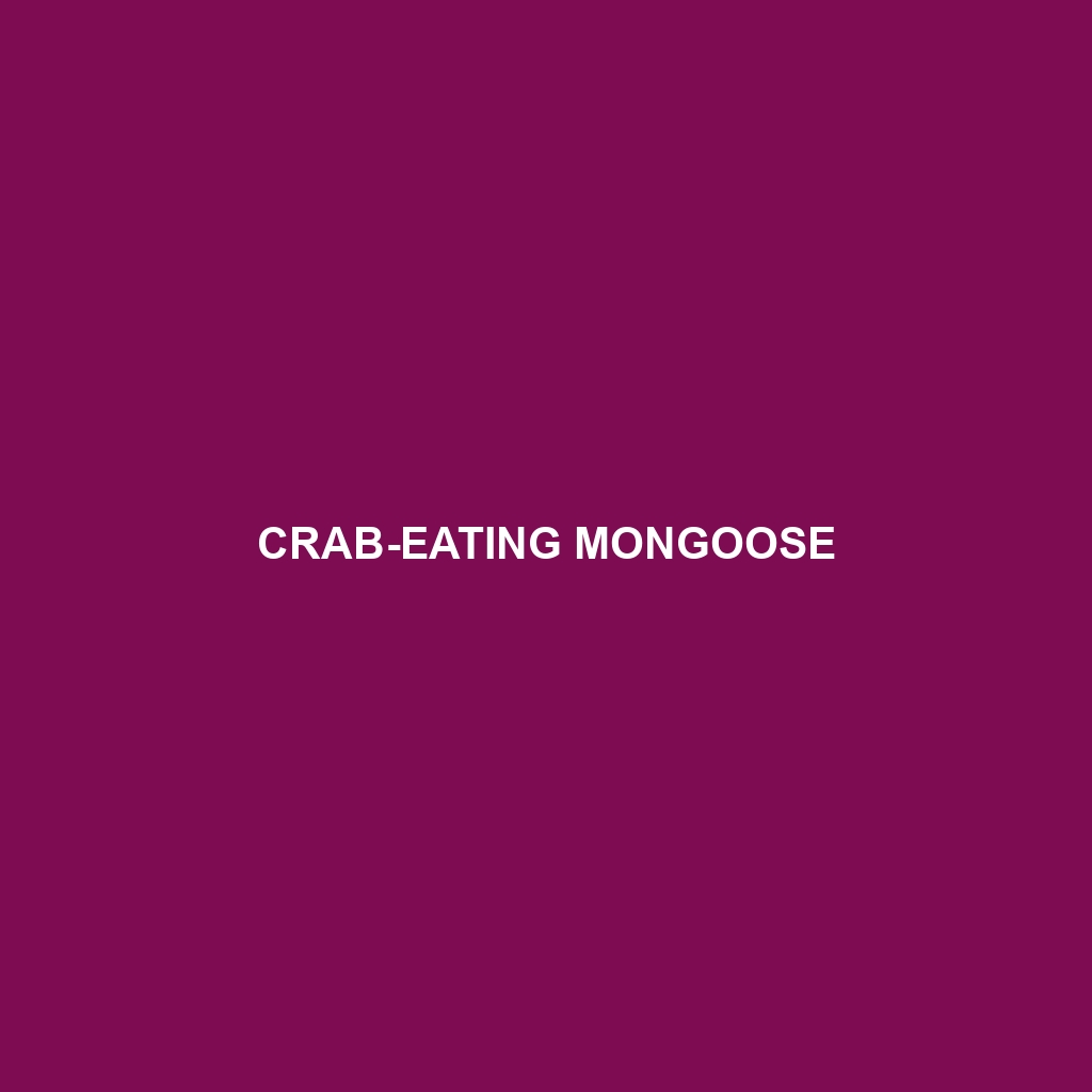 Crab-eating Mongoose