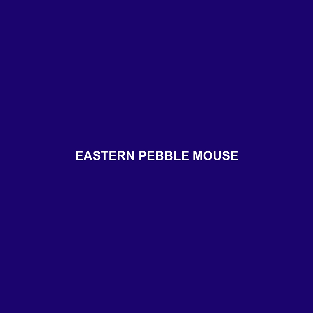 Eastern Pebble Mouse