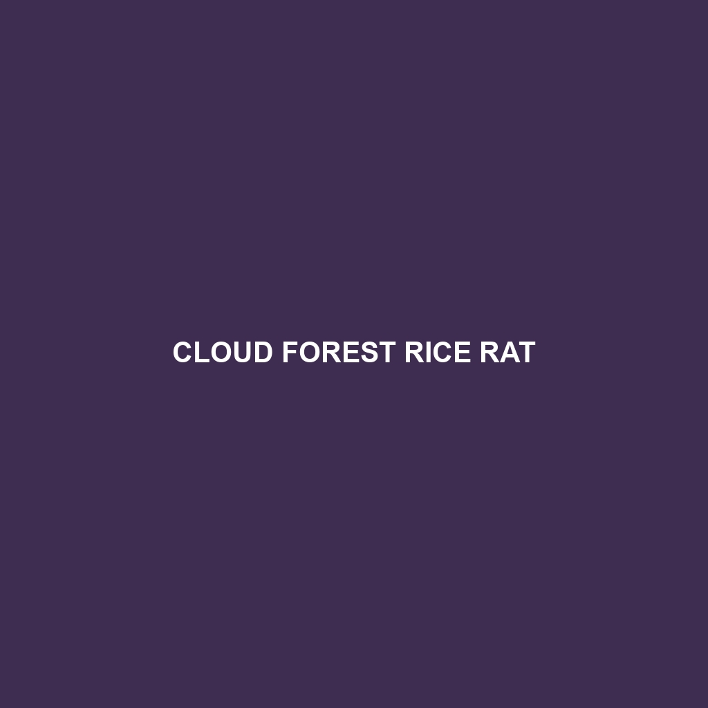 Cloud Forest Rice Rat