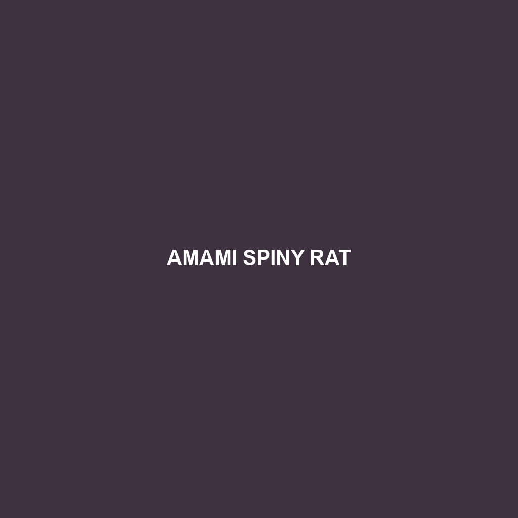 Amami Spiny Rat