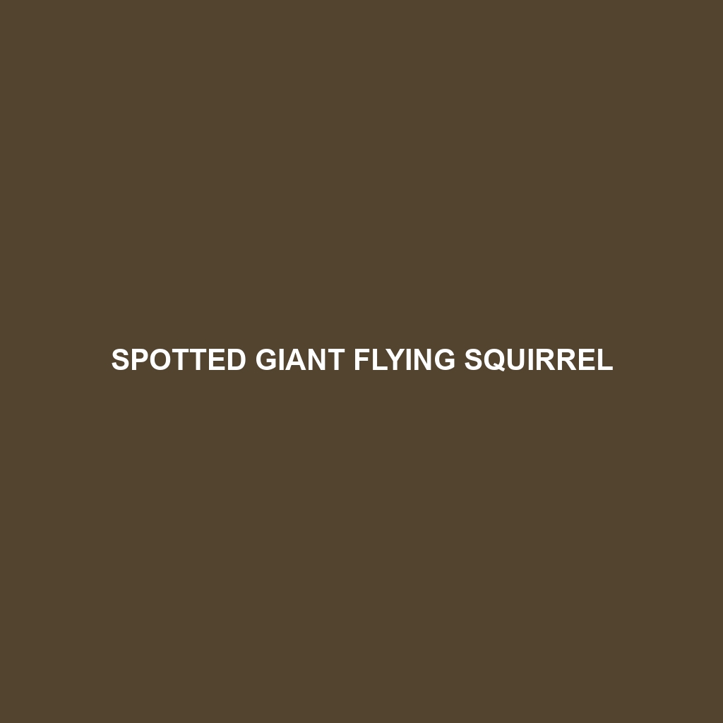 Spotted Giant Flying Squirrel