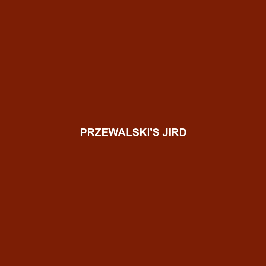 Przewalski's Jird