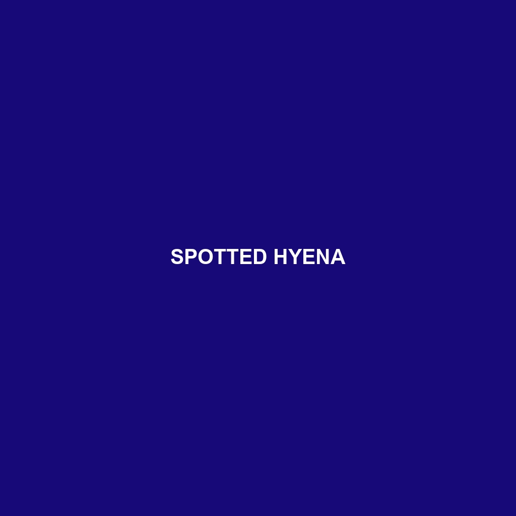 Spotted Hyena