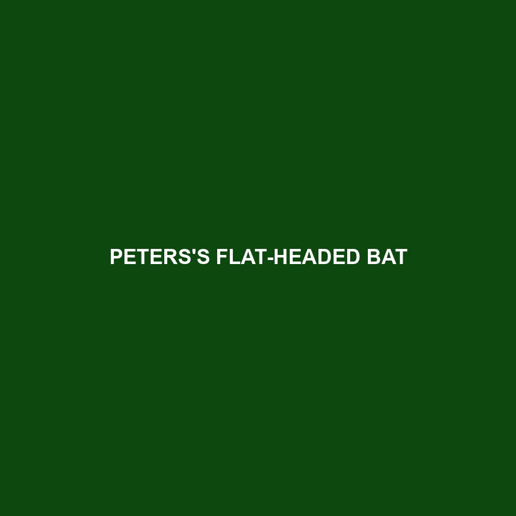 Peters's Flat-headed Bat