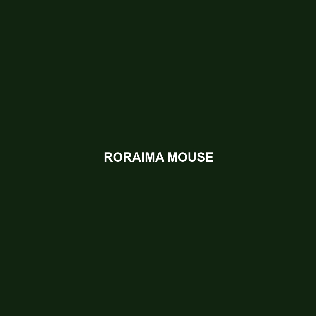 Roraima Mouse