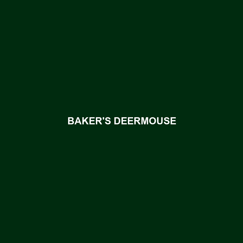 Baker's Deermouse