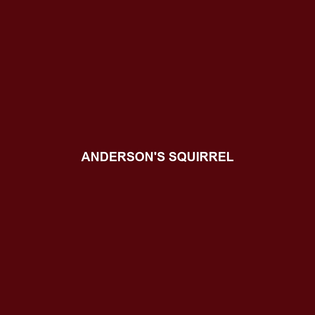 Anderson's Squirrel