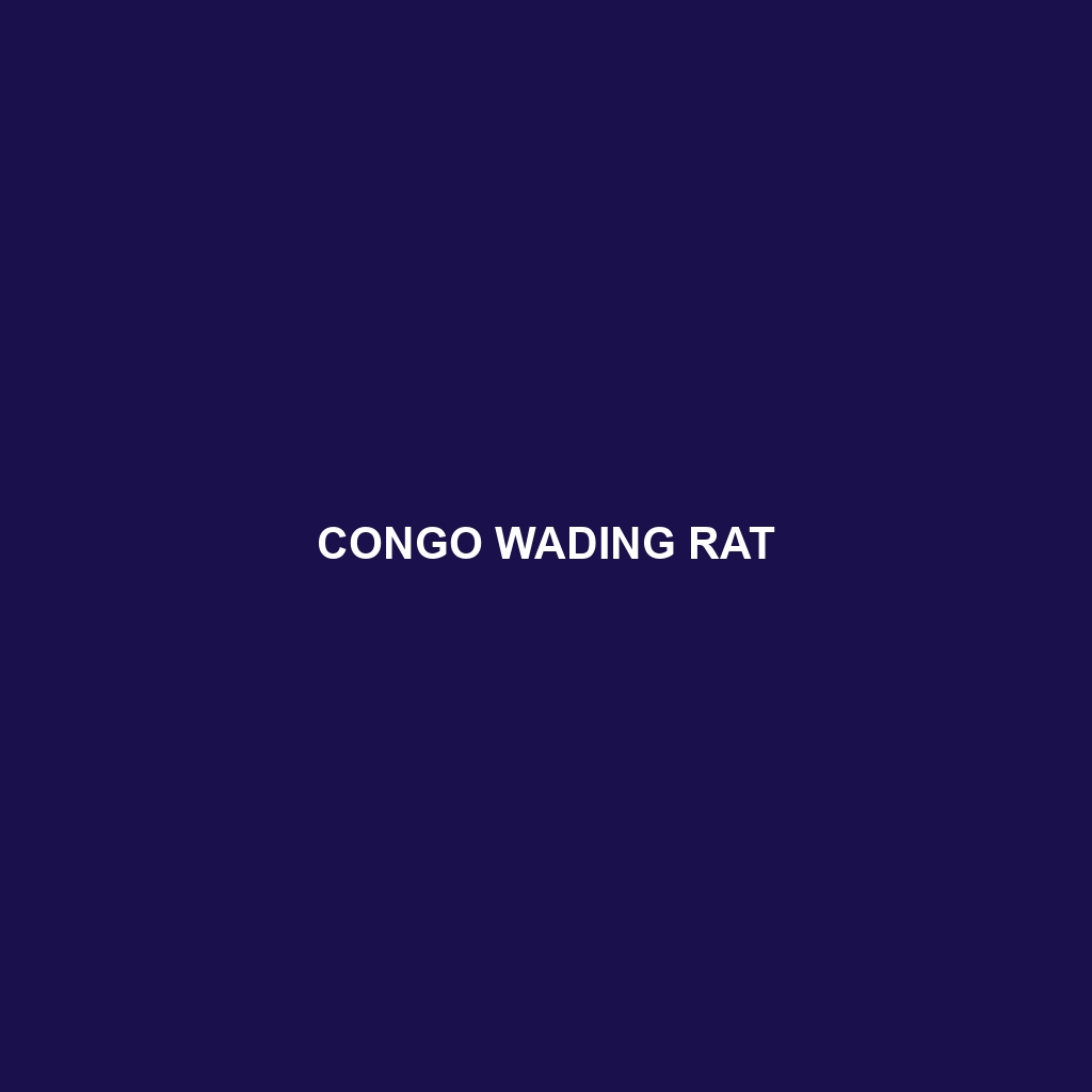 Congo Wading Rat