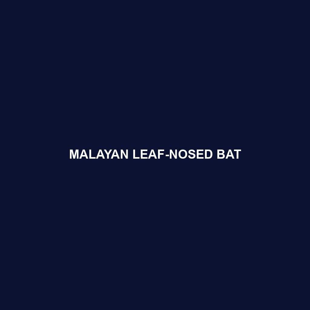 Malayan Leaf-nosed Bat