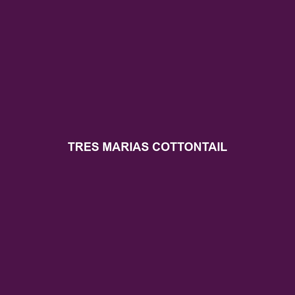 Tres Marias Cottontail