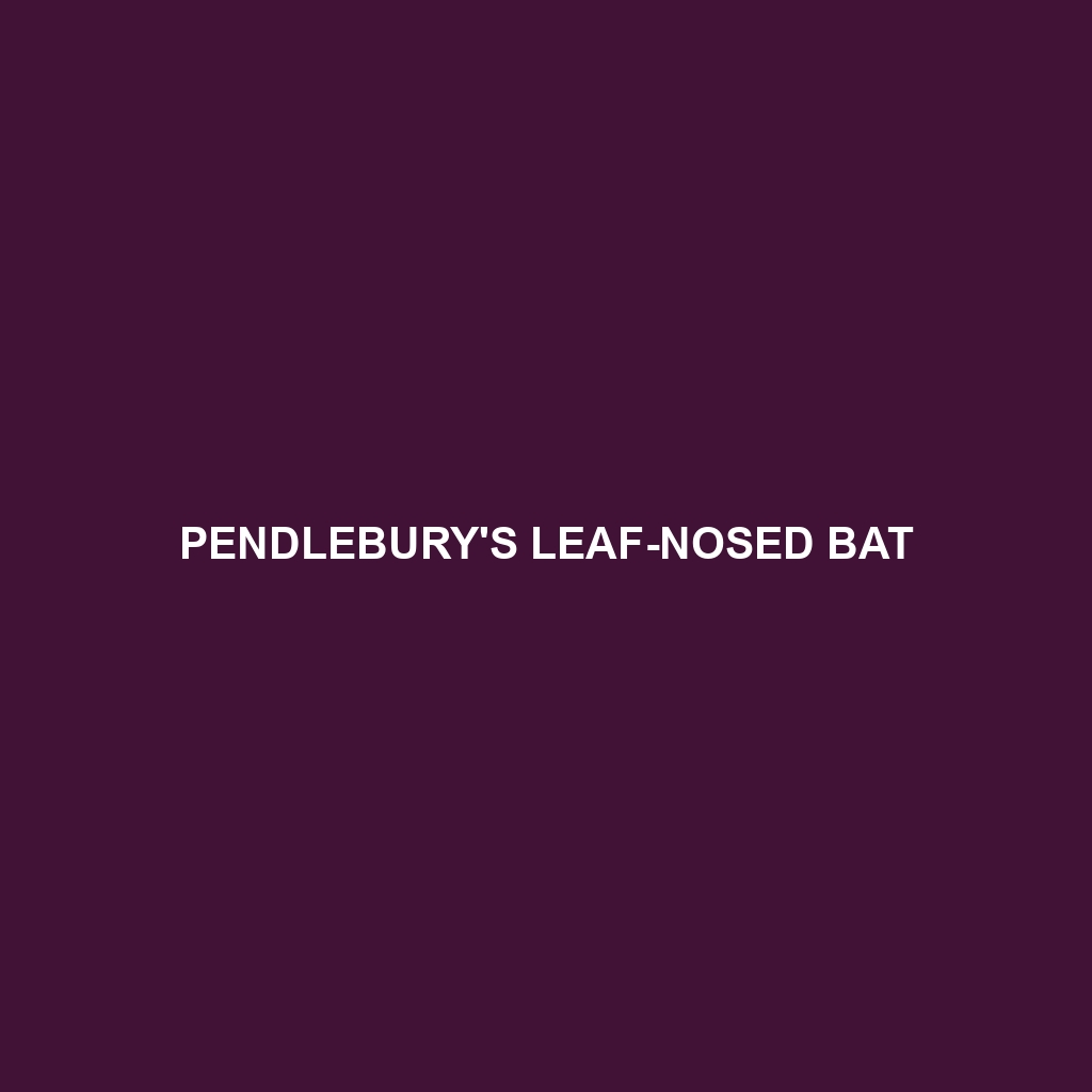 Pendlebury's Leaf-nosed Bat