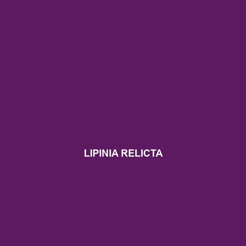 Lipinia relicta