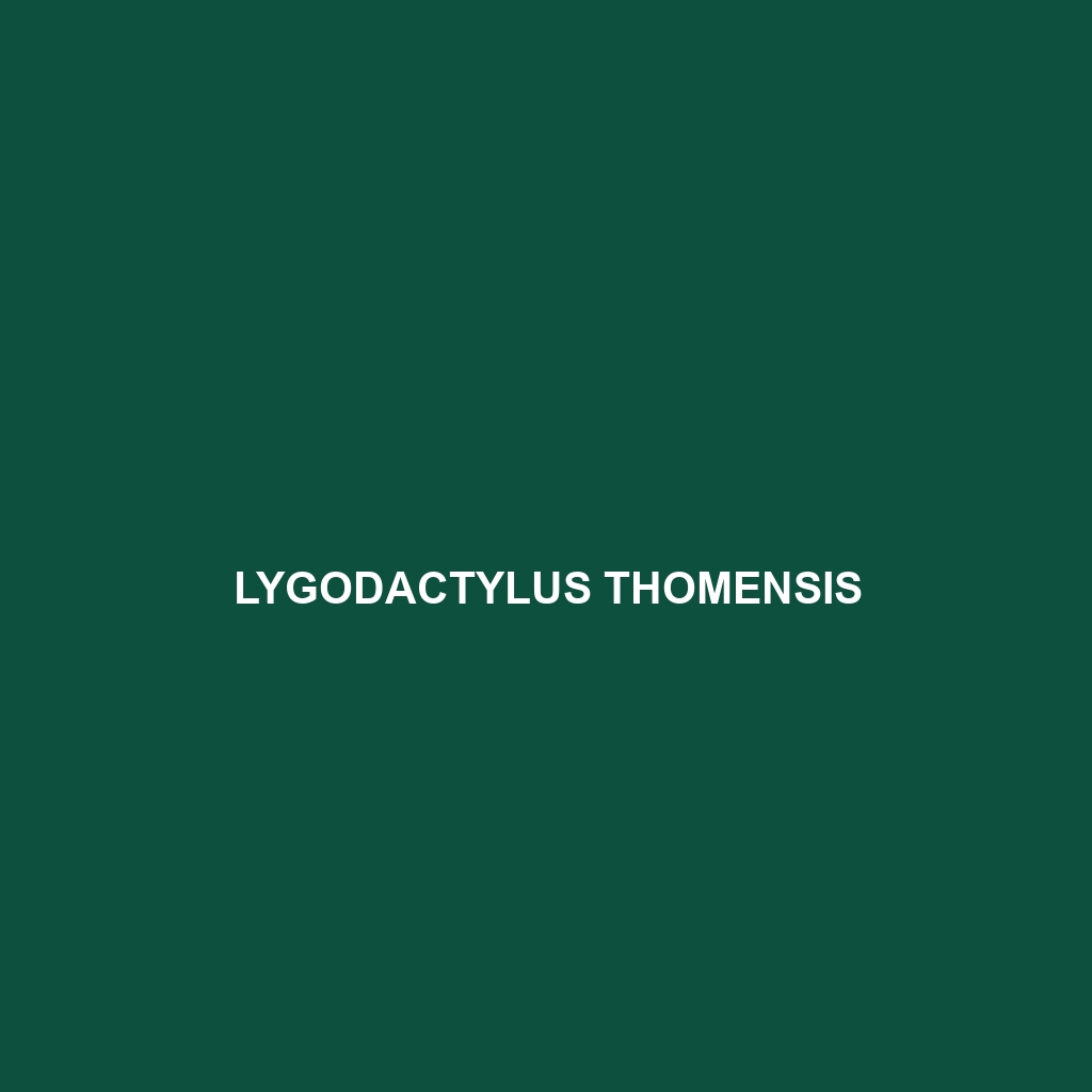 Lygodactylus thomensis