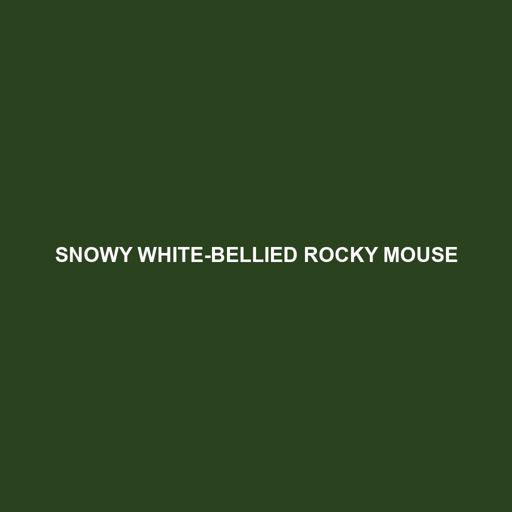 Snowy White-bellied Rocky Mouse