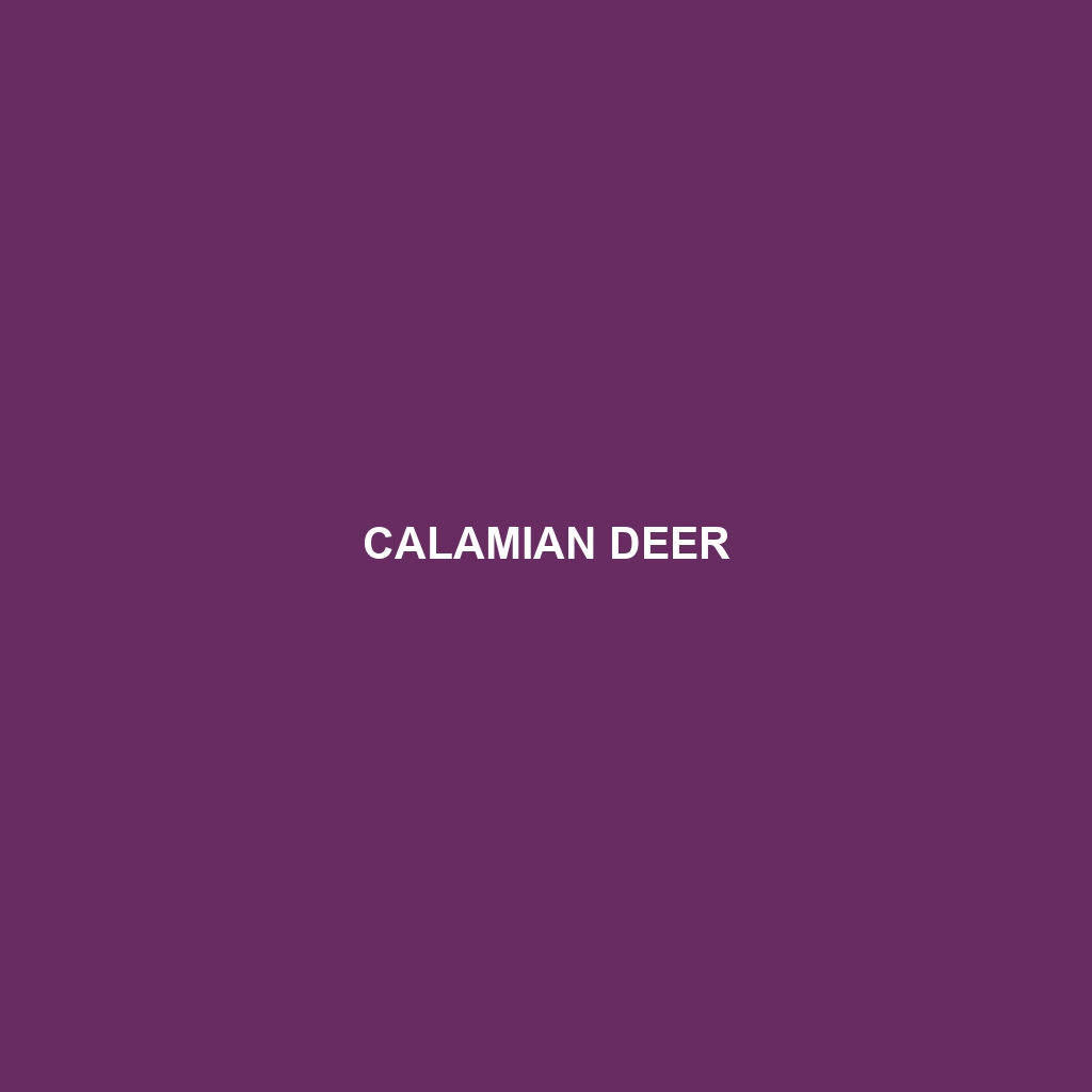 Calamian Deer