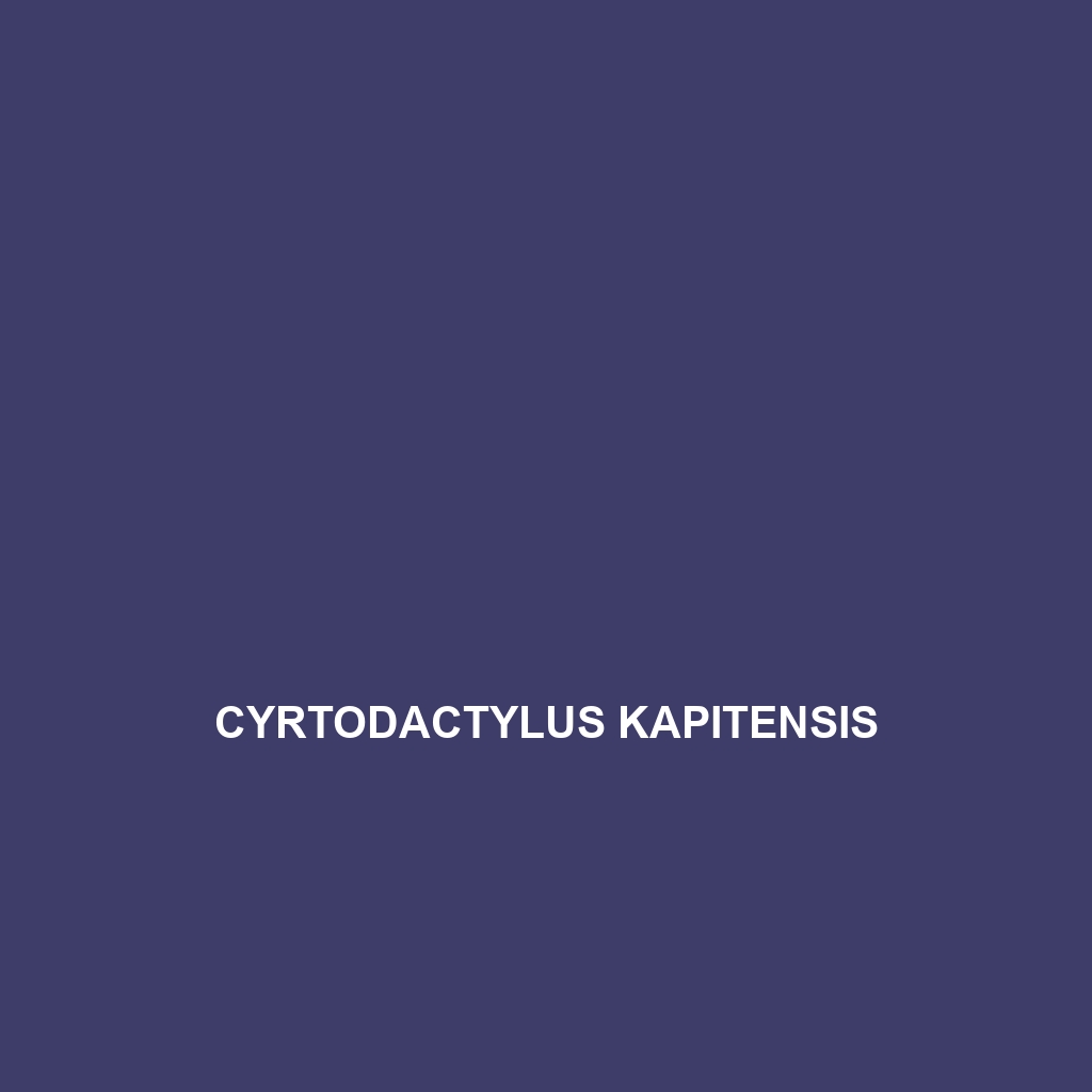 Cyrtodactylus kapitensis