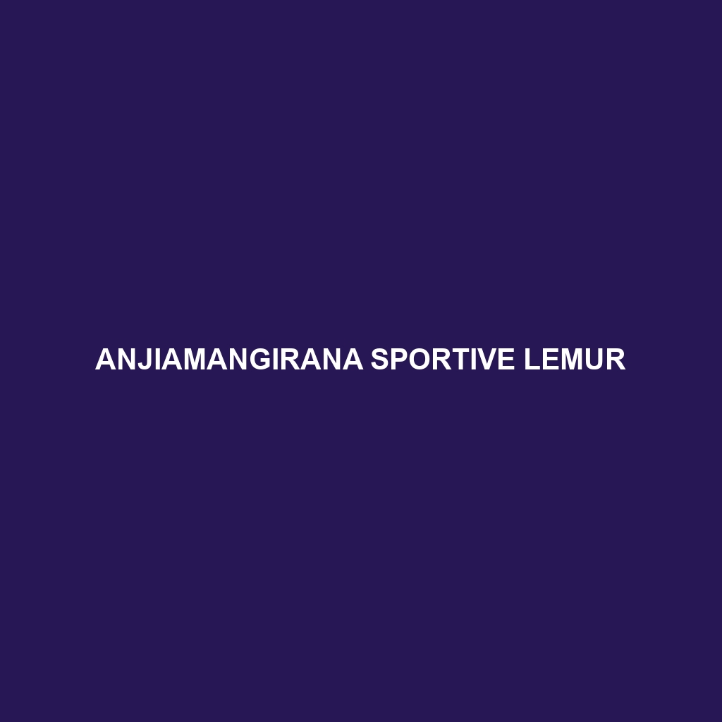 Anjiamangirana Sportive Lemur