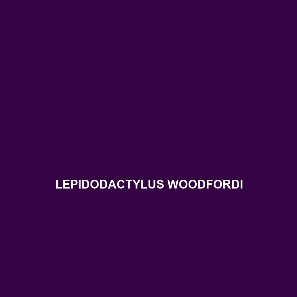 Lepidodactylus woodfordi