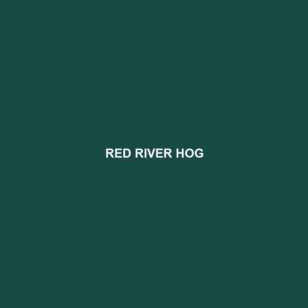 Red River Hog