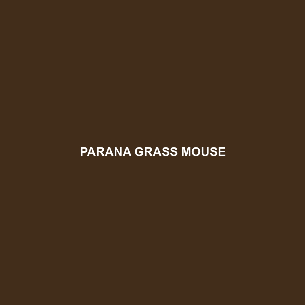 Parana Grass Mouse