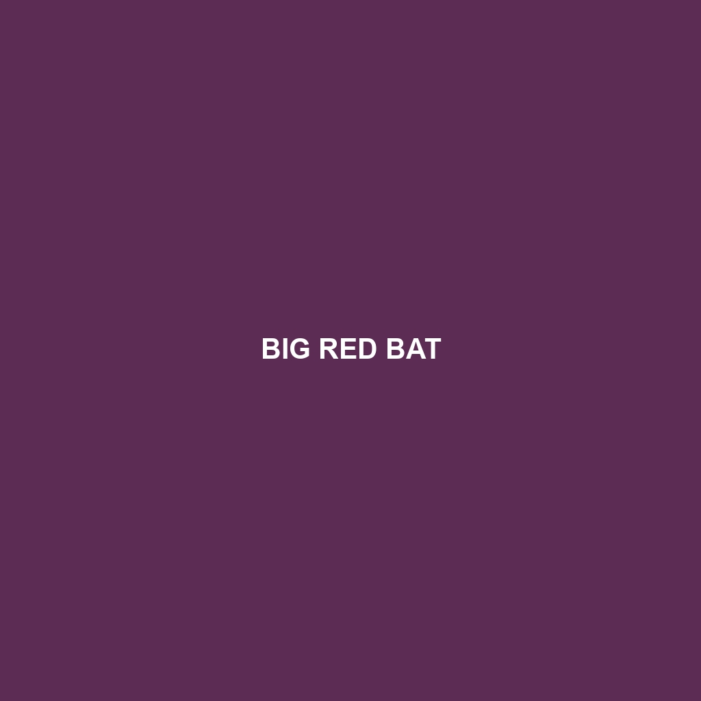 Big Red Bat