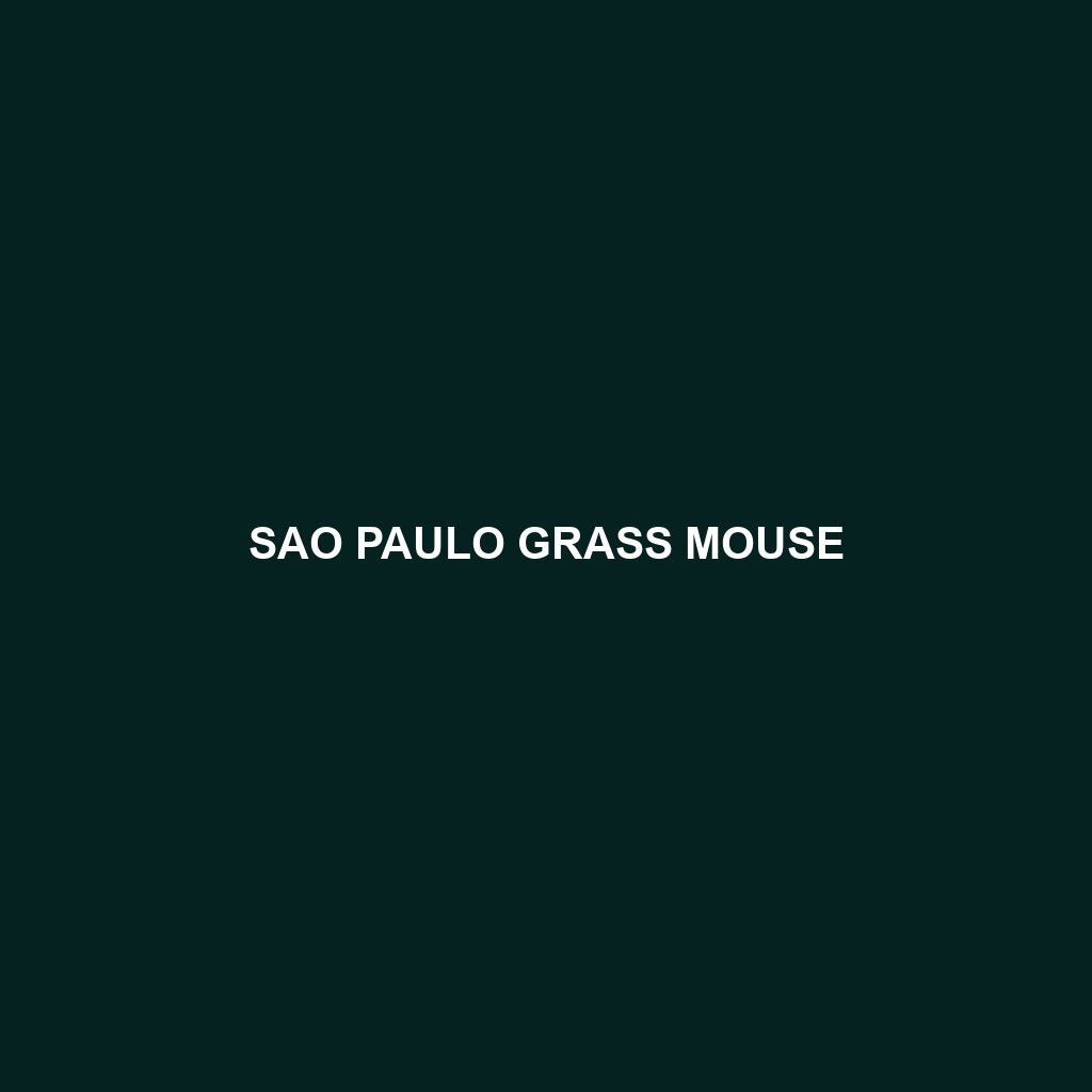 Sao Paulo Grass Mouse