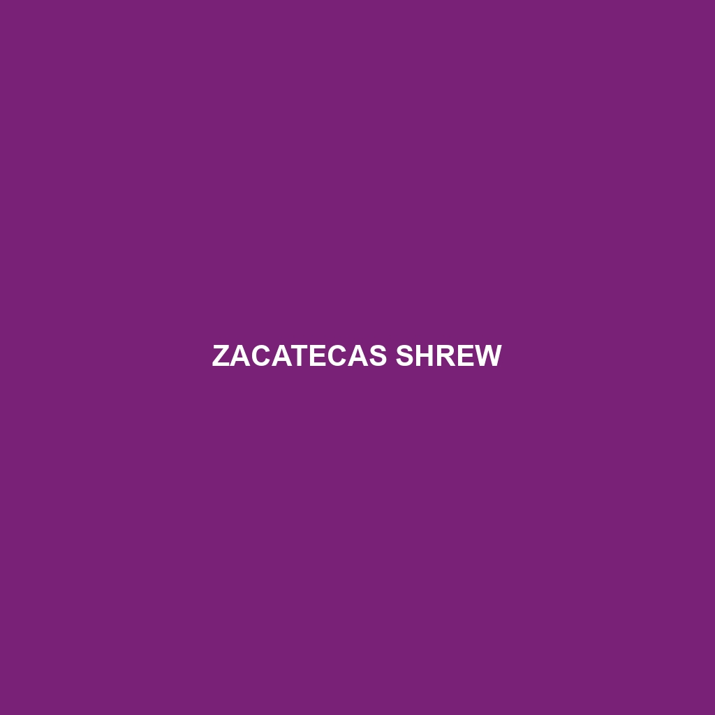 Zacatecas Shrew