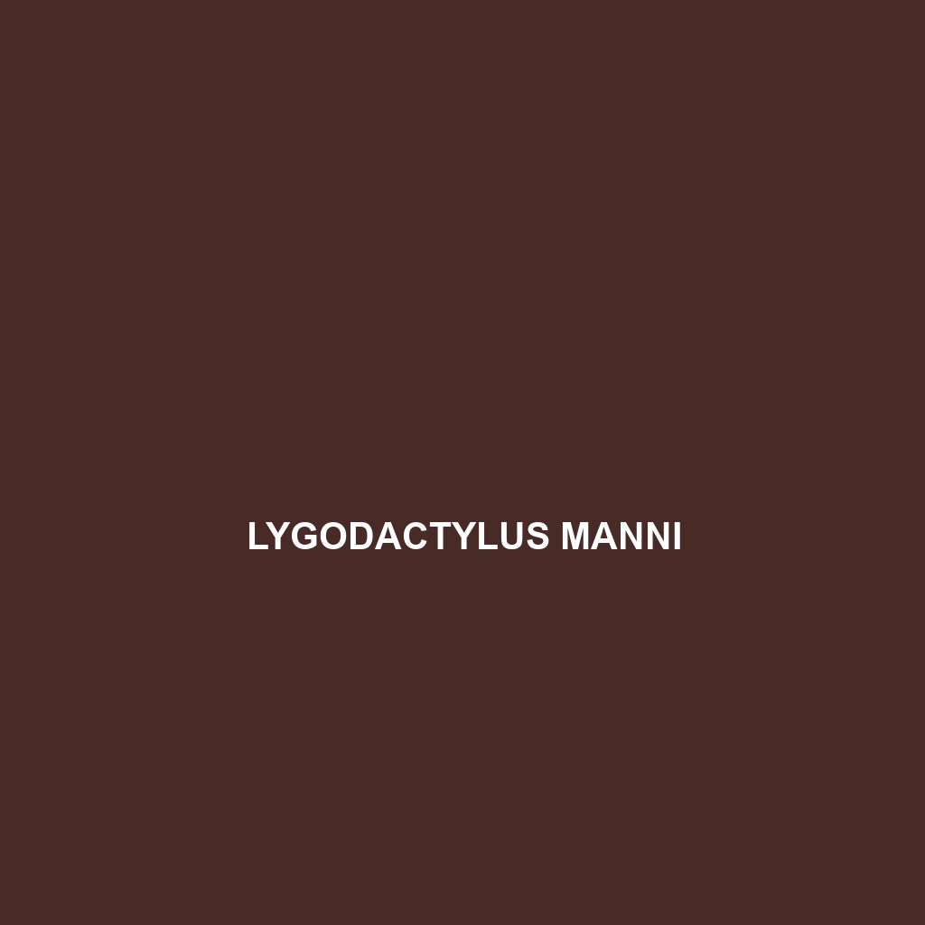 Lygodactylus manni