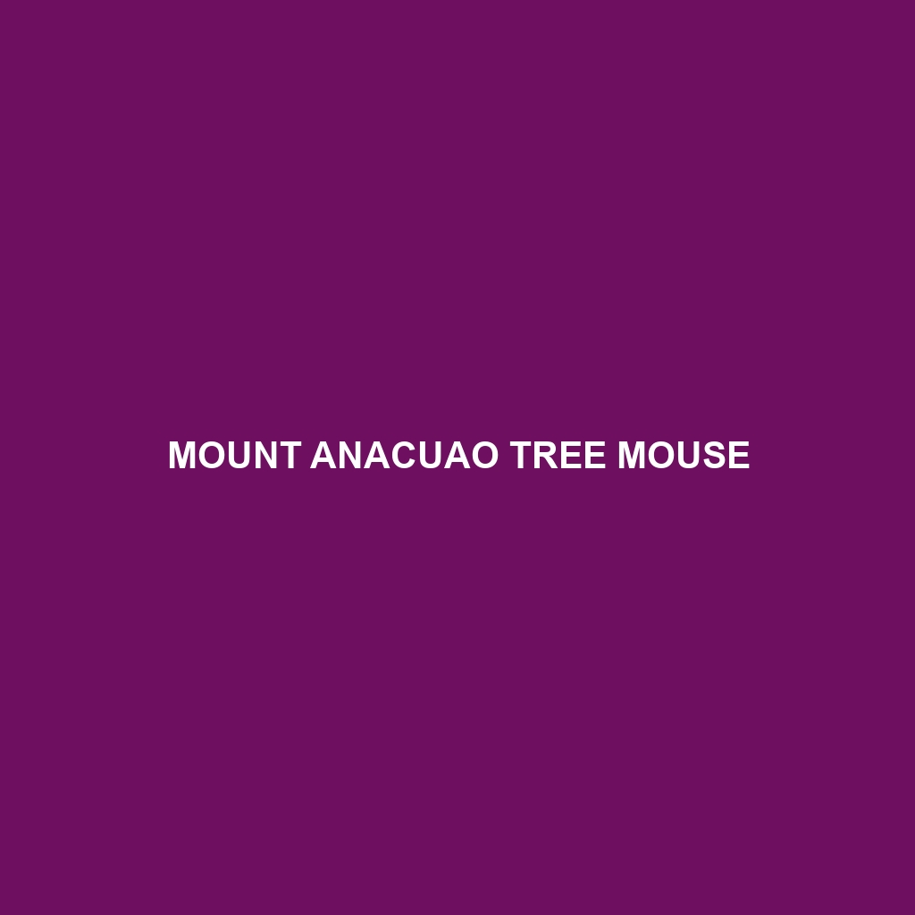 Mount Anacuao Tree Mouse