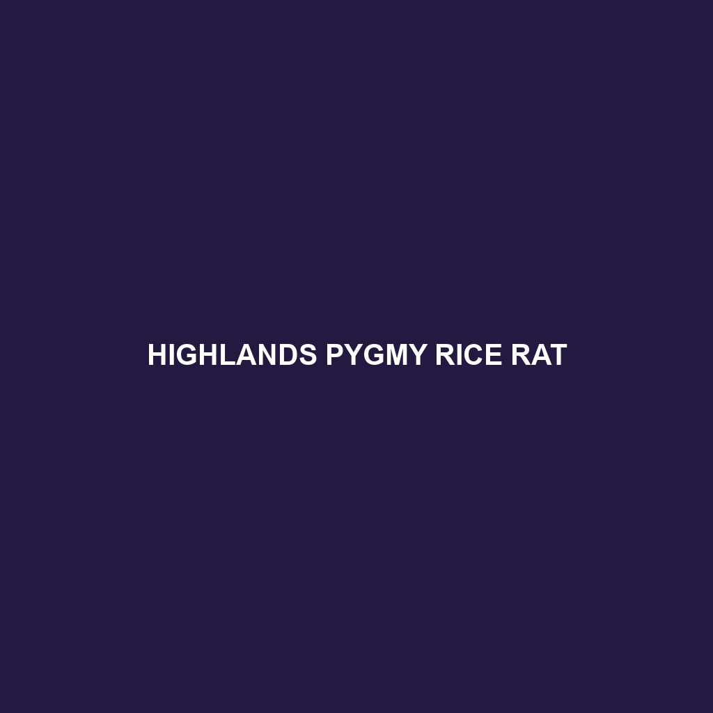 Highlands Pygmy Rice Rat