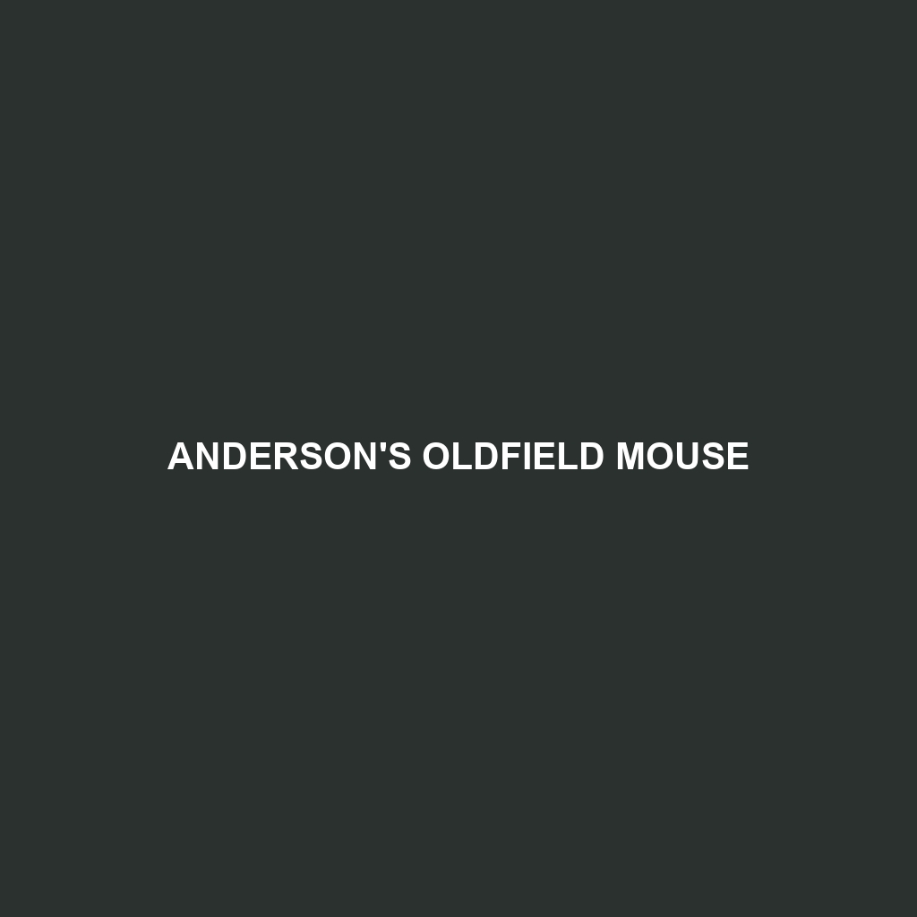 Anderson's Oldfield Mouse