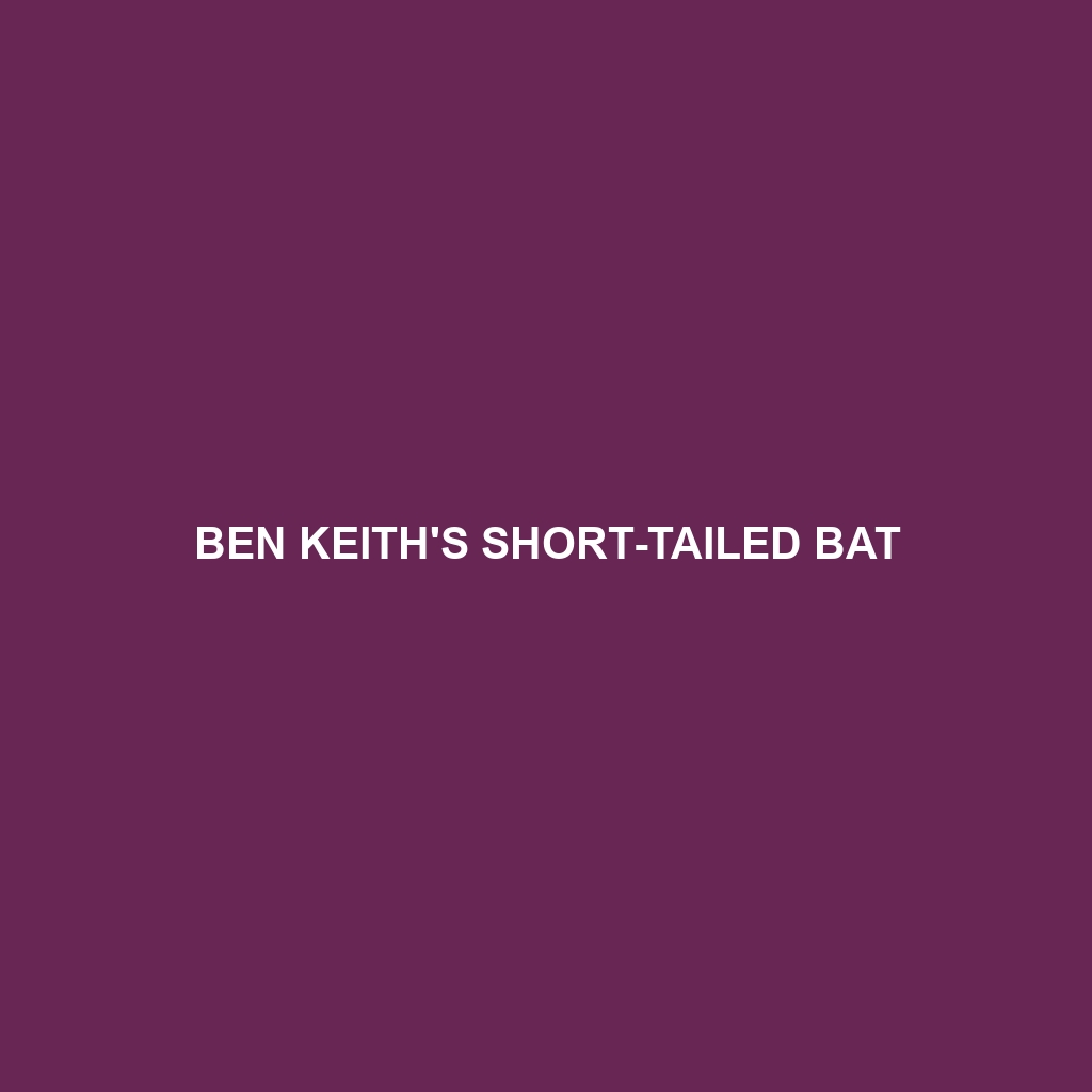 Ben Keith's Short-tailed Bat