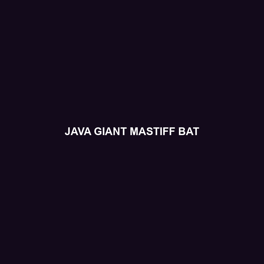 Java Giant Mastiff Bat