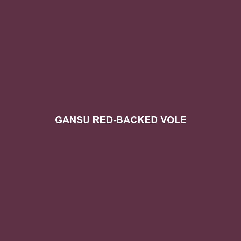 Gansu Red-backed Vole