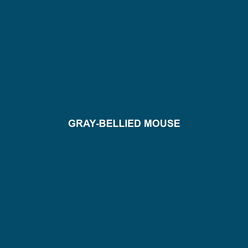 Gray-bellied Mouse