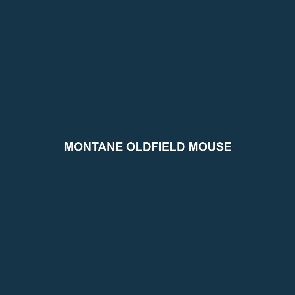 Montane Oldfield Mouse