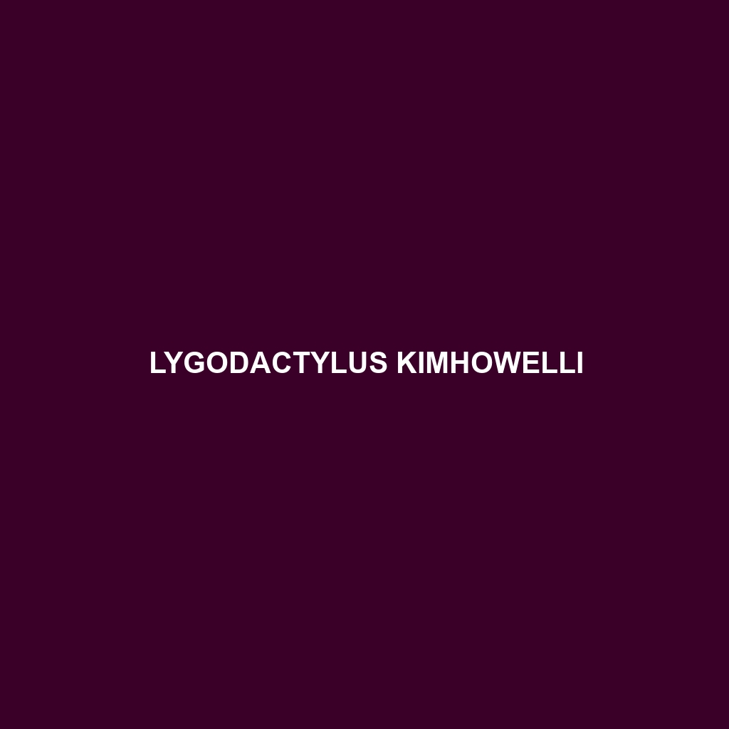 Lygodactylus kimhowelli