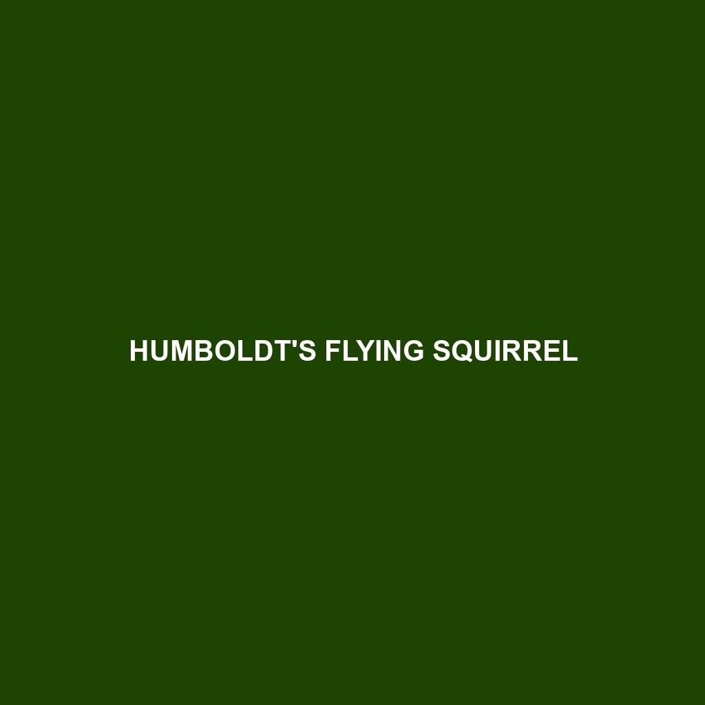 Humboldt's Flying Squirrel